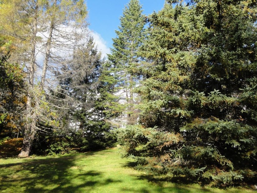 Fay Hyland Botanical Plantation, United States